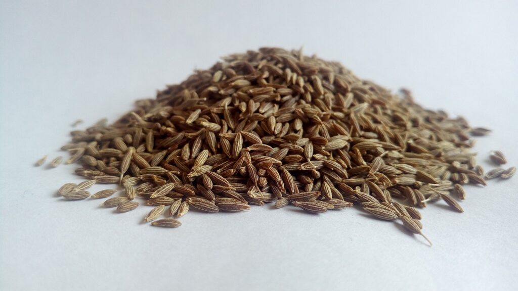 cumin, white cumin, herbs-5377176.jpg