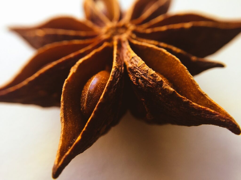 star, anise, plant-2585815.jpg