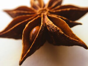 star, anise, plant-2585815.jpg